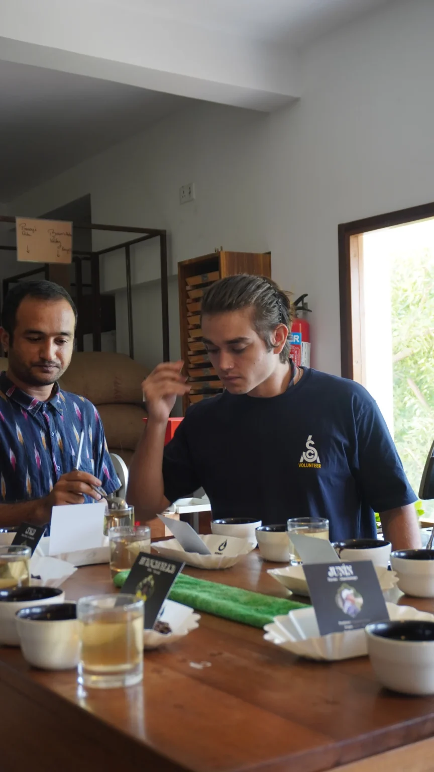 Coffee Cupping Session - Image 3