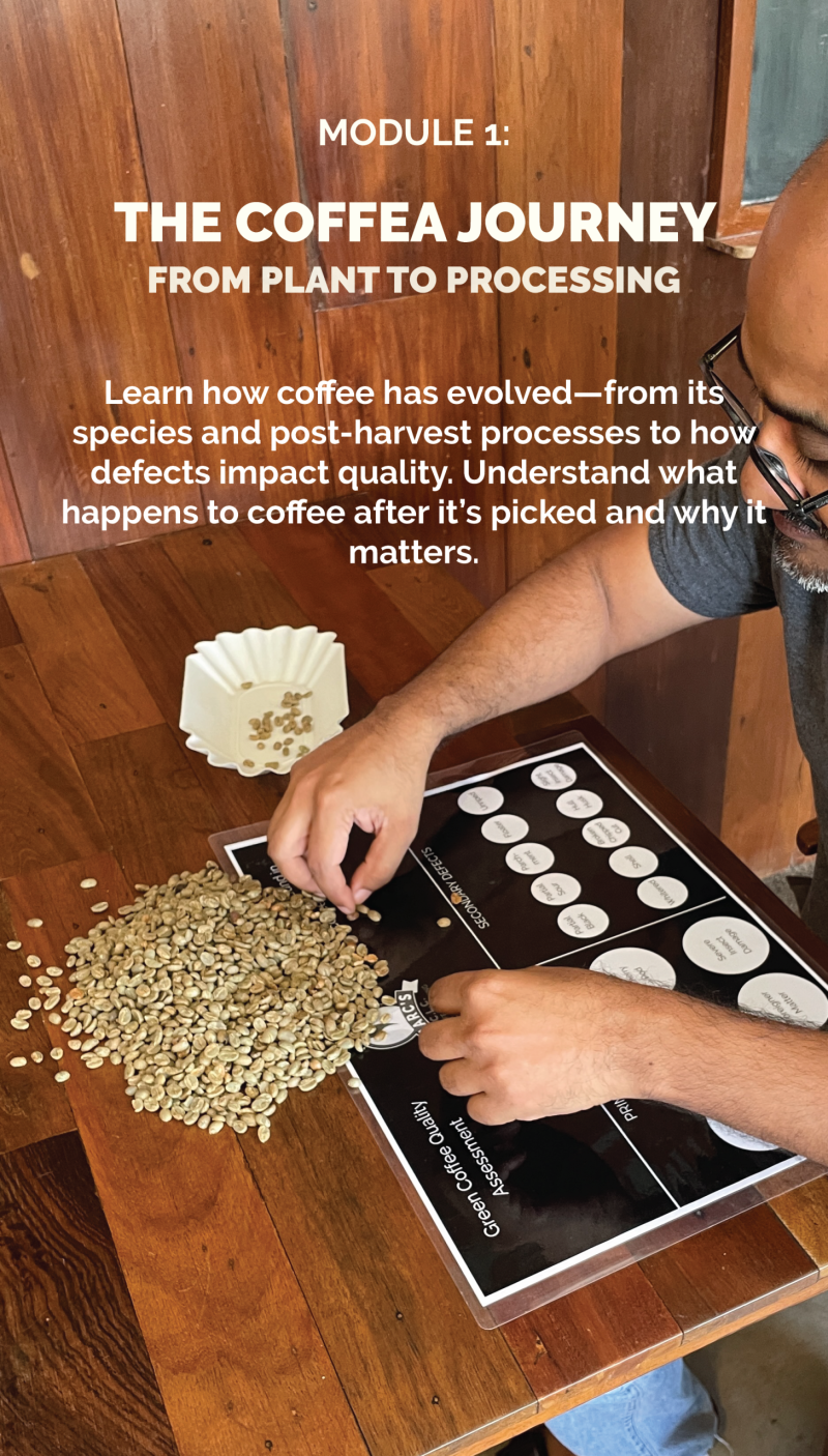Foundations of Specialty Coffee - Image 3