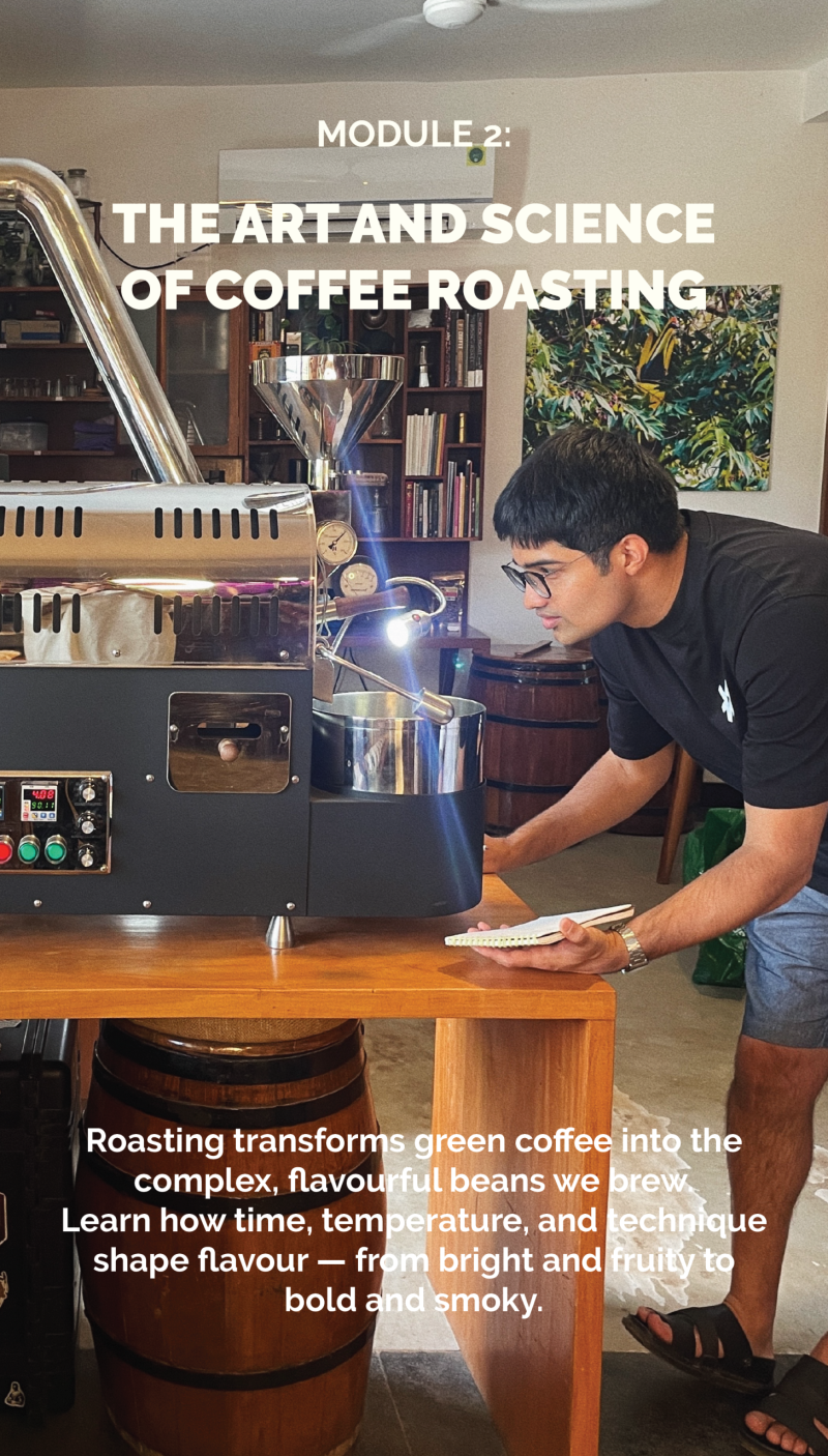 Foundations of Specialty Coffee - Image 4