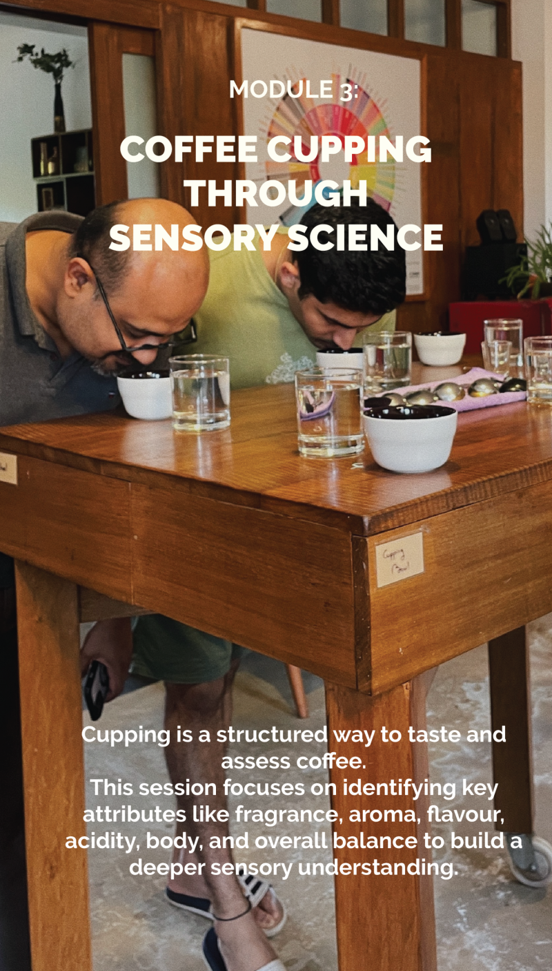Foundations of Specialty Coffee - Image 5