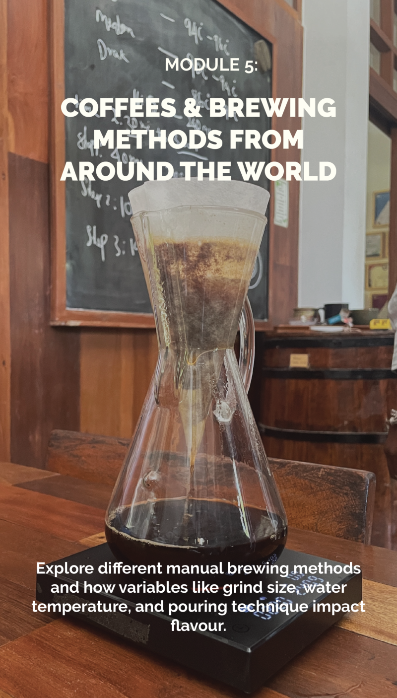 Foundations of Specialty Coffee - Image 7