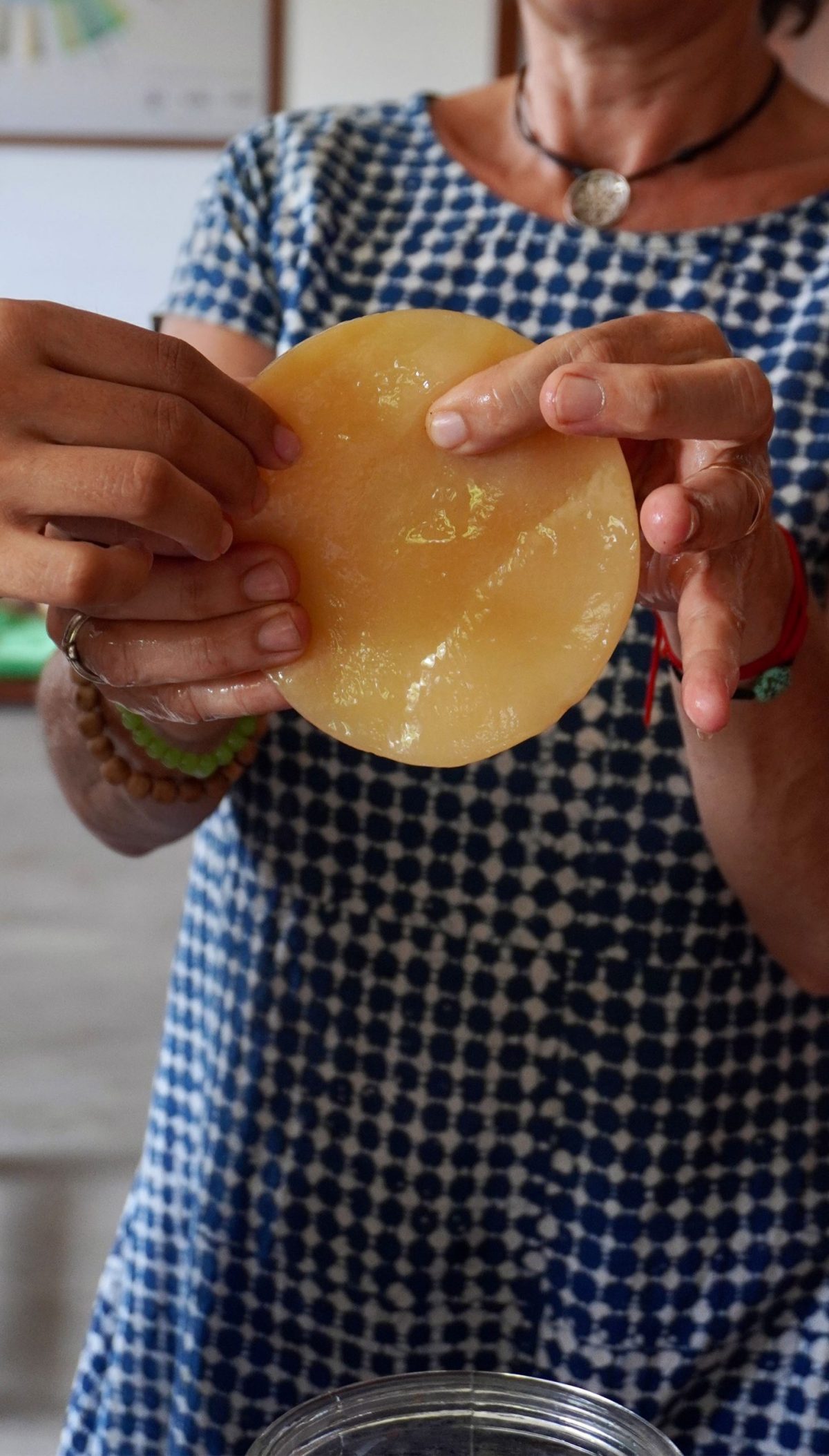 Foundations of Fermentation - Image 2