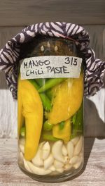 Foundations of Fermentation - Image 7