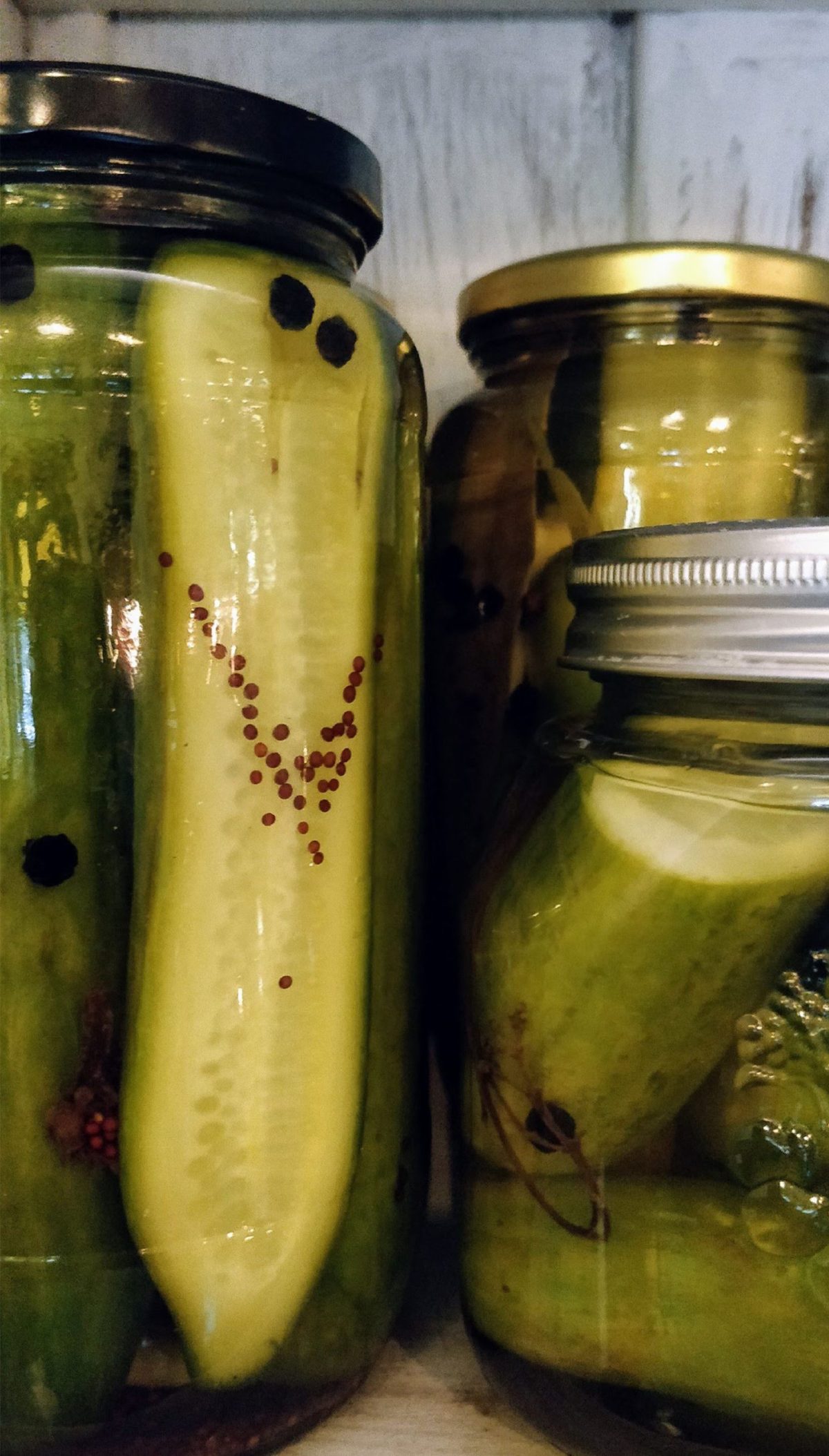 Foundations of Fermentation - Image 5