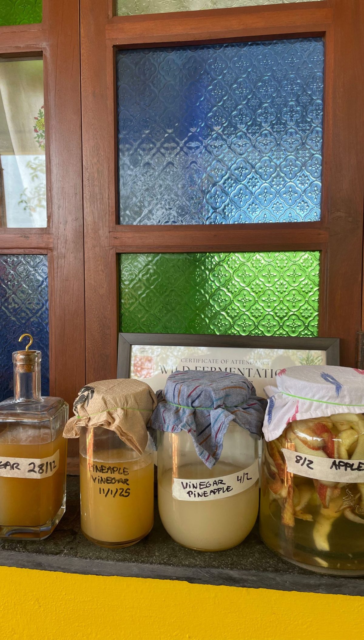 Foundations of Fermentation - Image 4