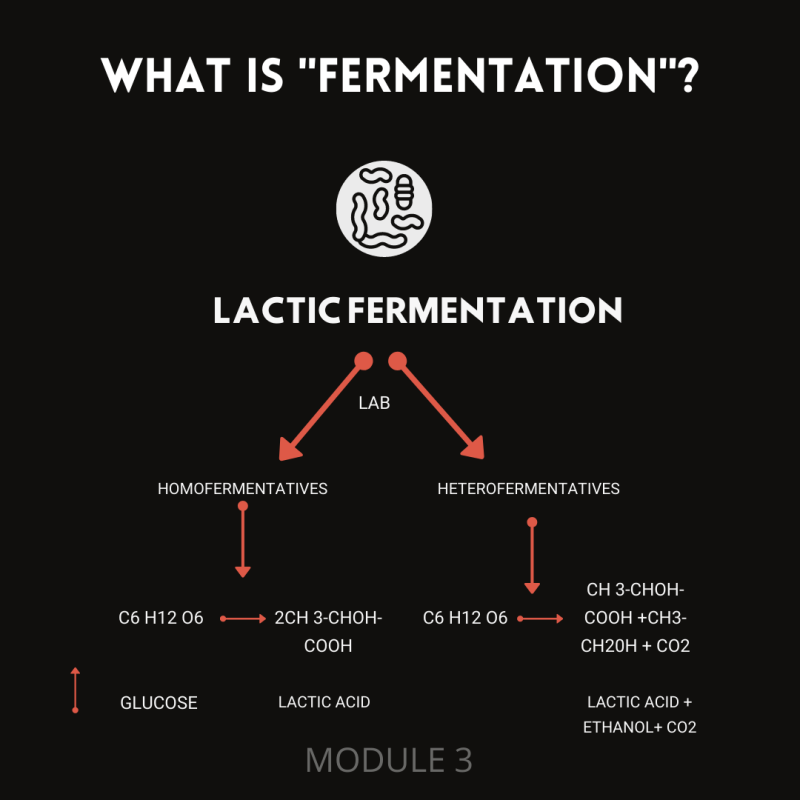 Molecular Coffee: A Master Class - Image 4