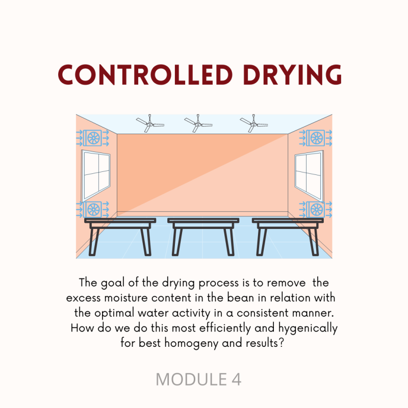 Molecular Coffee: A Master Class - Image 5