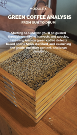 Foundations of Roasting - Image 3