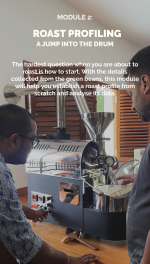 Foundations of Roasting - Image 4