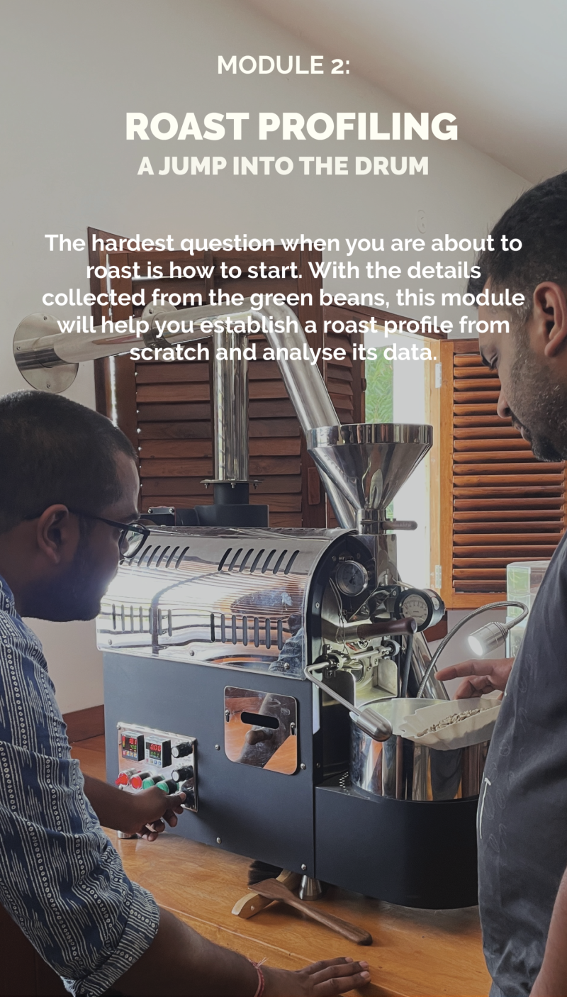 Foundations of Roasting - Image 4