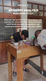 Foundations of Roasting - Image 5