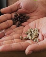 Foundations of Roasting