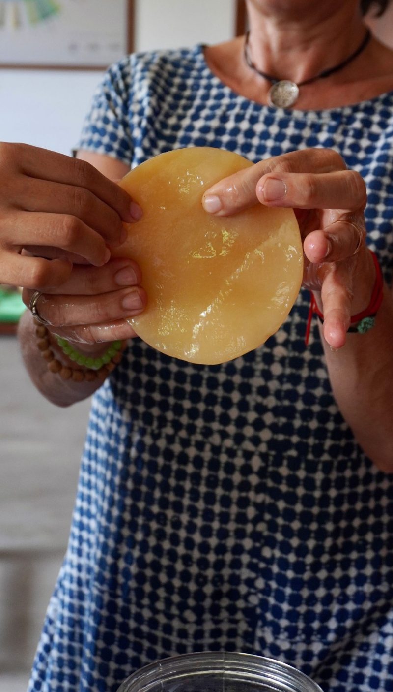 Foundations of Fermentation - Image 2